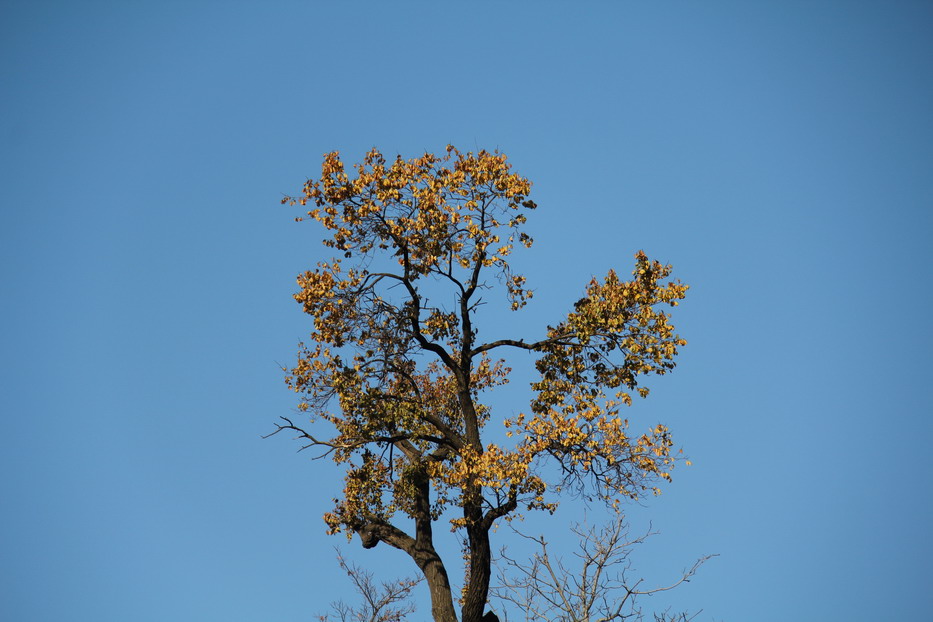 կ_05_СС.jpg