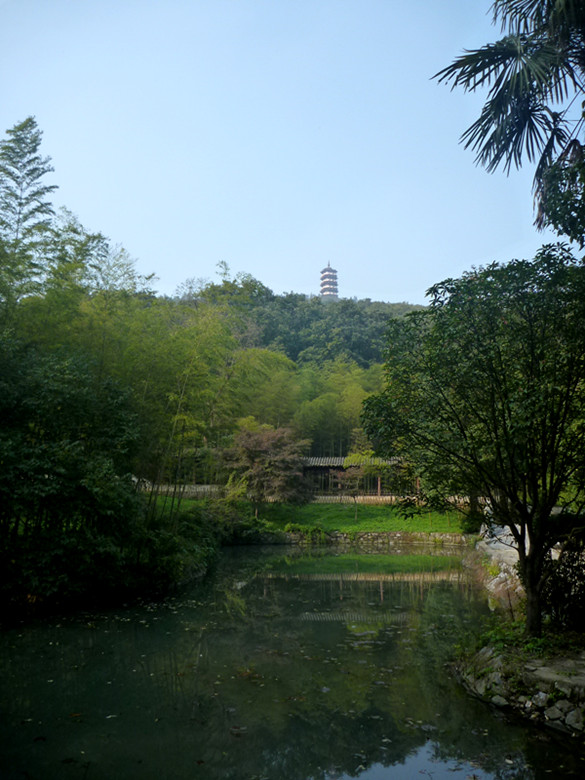 p1080787_.jpg