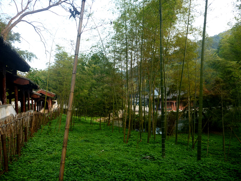 p1080796_.jpg