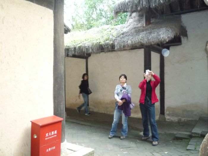 p1130610.jpg