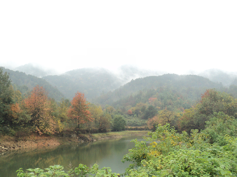 dsc06415_.jpg