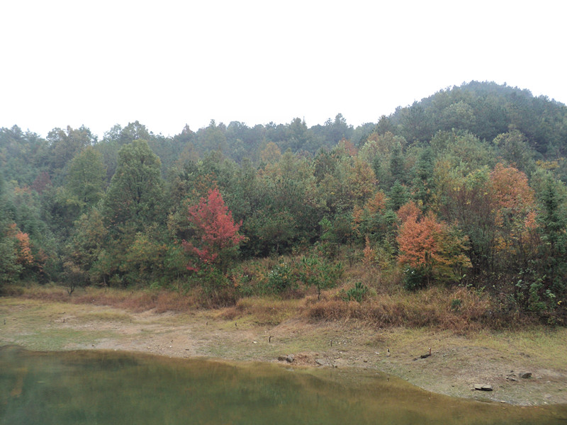 dsc06416_.jpg