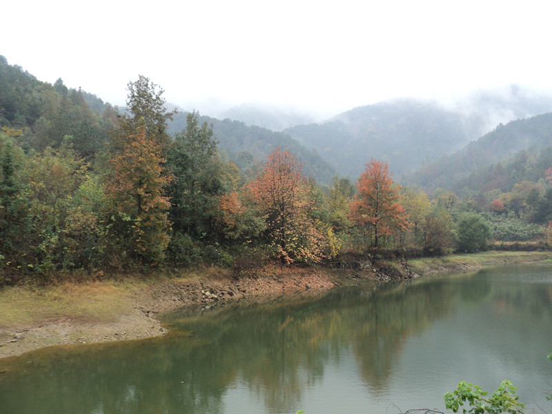 dsc06417_.jpg