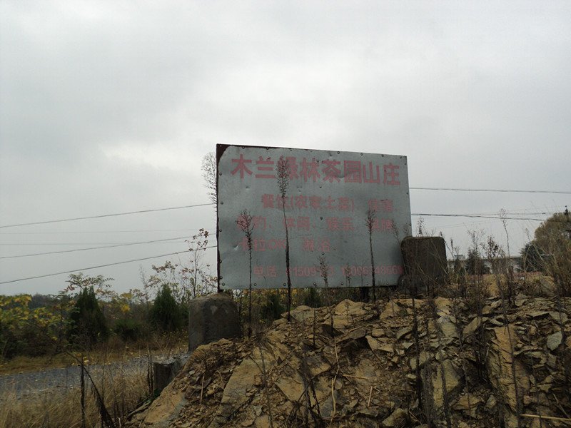 dsc06419_.jpg