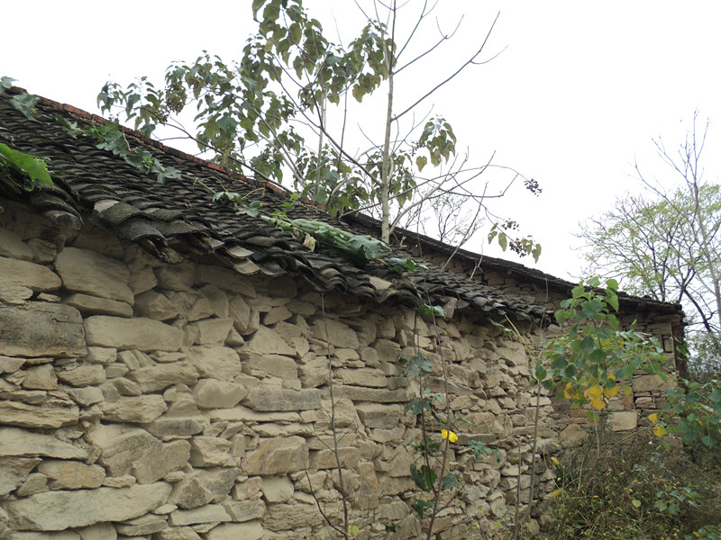 dsc06421_.jpg