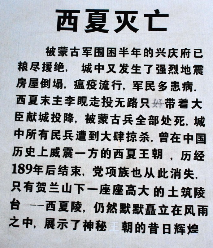 dsc_0611.jpg