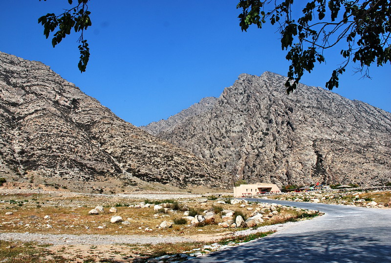 dsc_0633.jpg