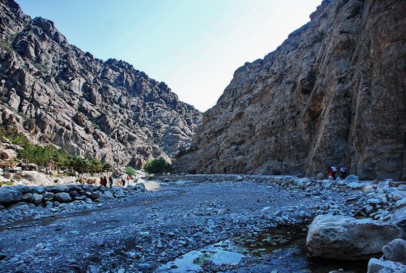 dsc_0665.jpg