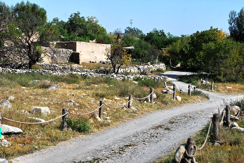 dsc_0756.jpg