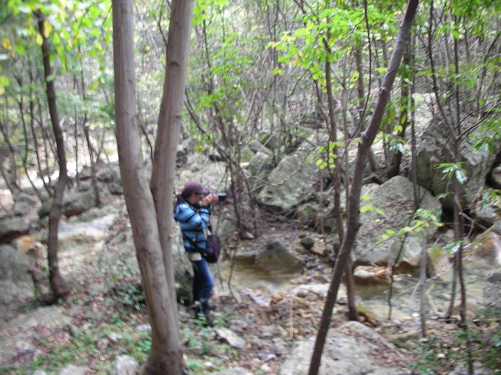 2011差 070.jpg