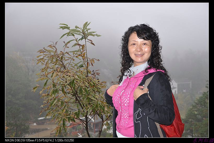 dsc_1517.jpg