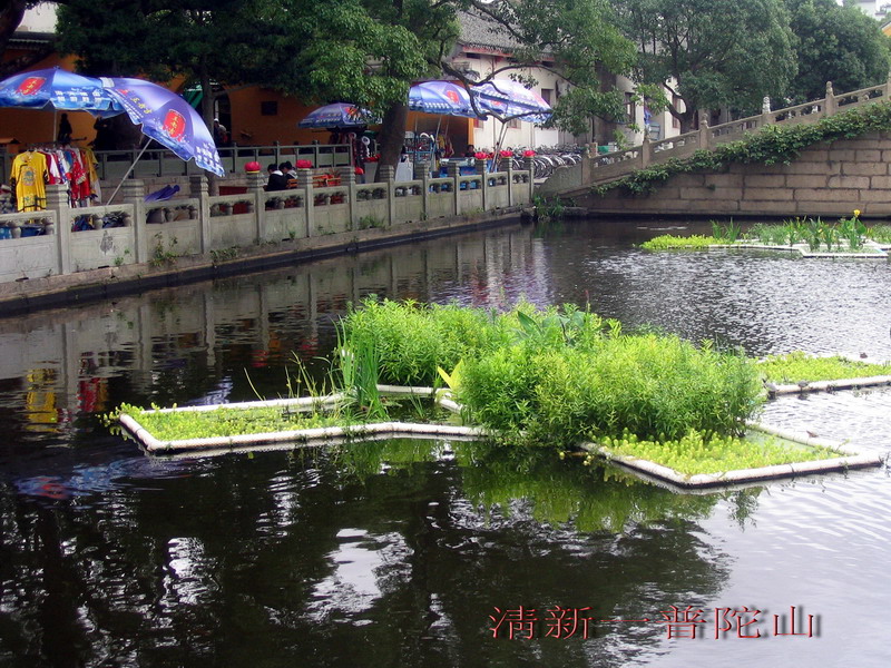 img_6897 - _СС.jpg