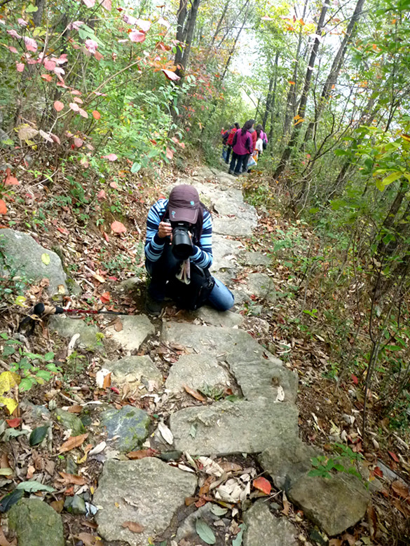 p1080908_.jpg