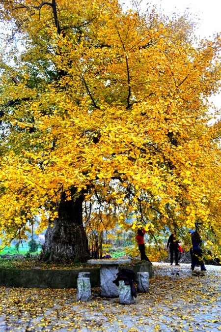 dsc_9607_conew2.jpg