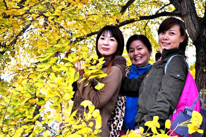 dsc_9620_conew1.jpg
