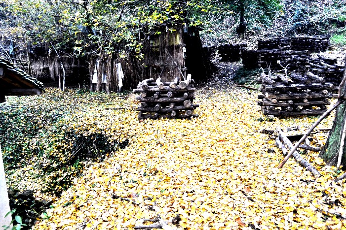 dsc_9268_conew1.jpg
