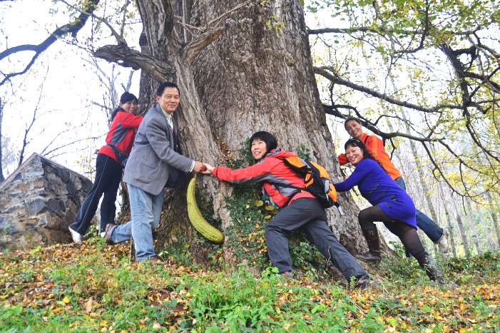dsc_9337_conew1.jpg