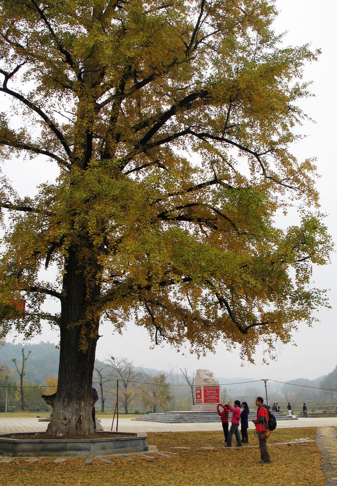 img_02691.jpg
