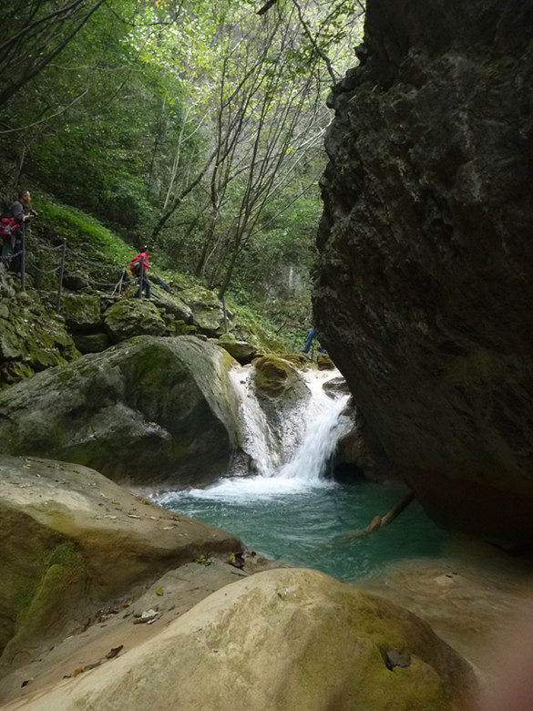 p1080943_.jpg