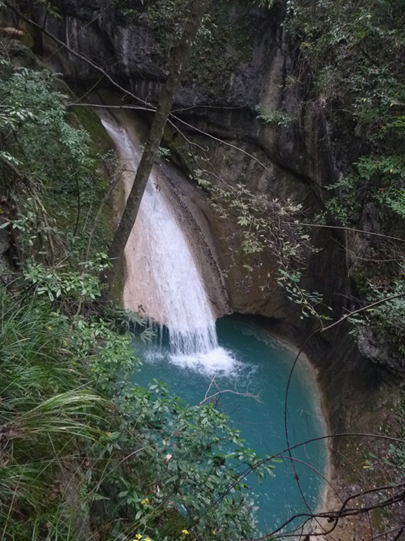 p1080938_.jpg