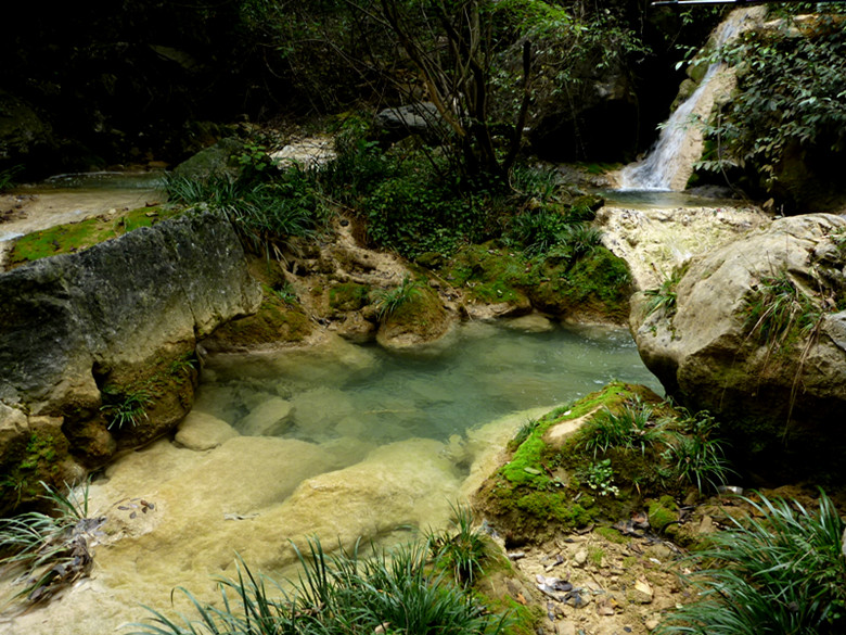 p1080953_.jpg