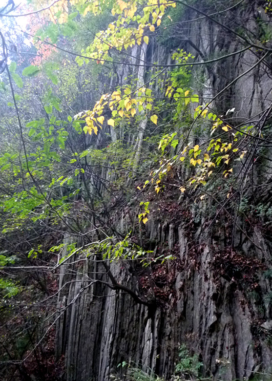 p1080967_.jpg