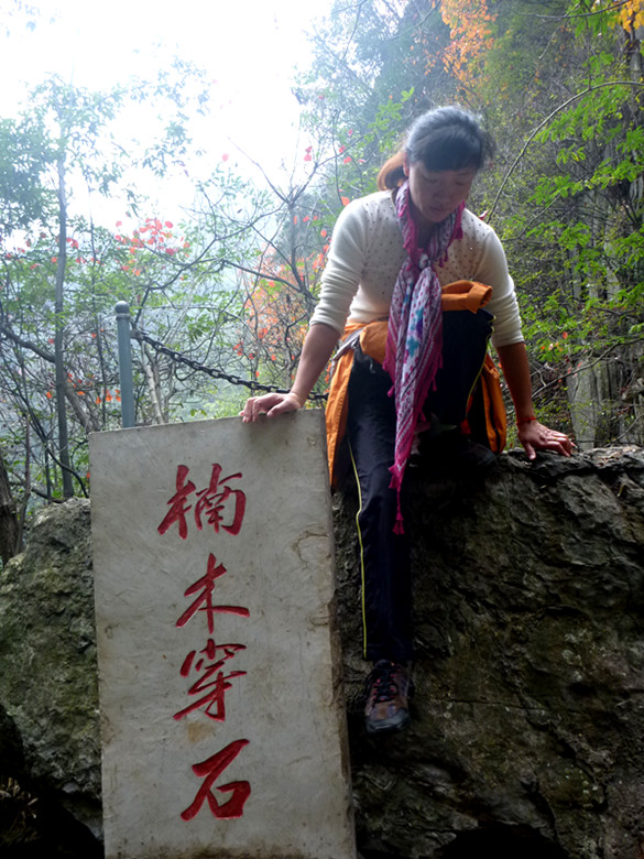 p1080965_.jpg