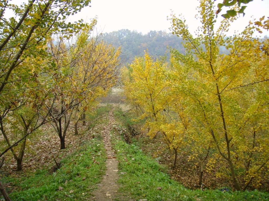 dsc06931.jpg