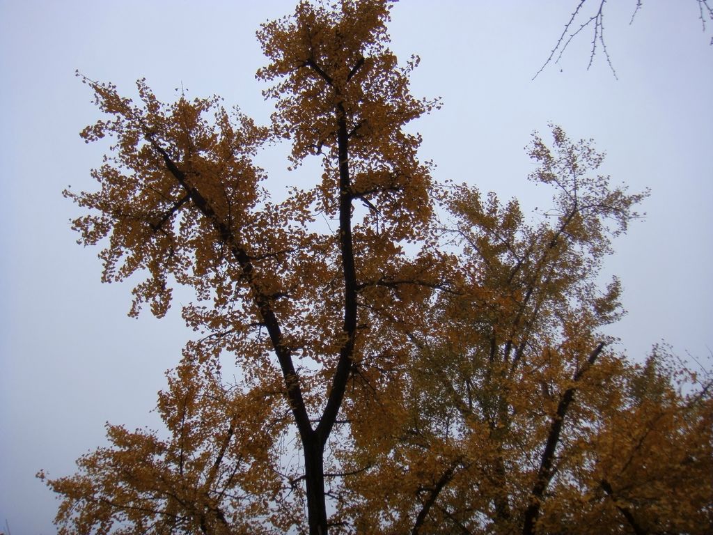 dsc06957.jpg