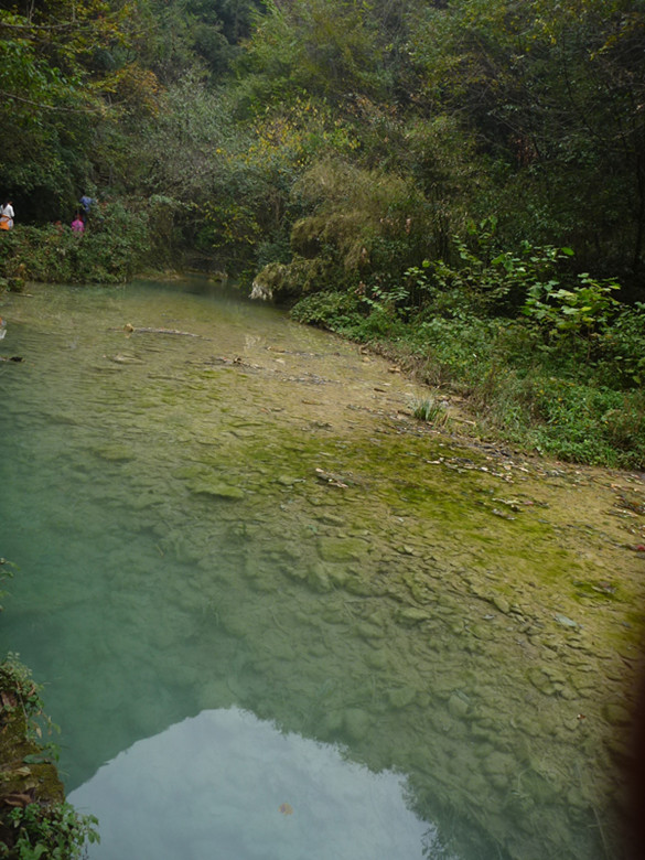 p1080932_.jpg