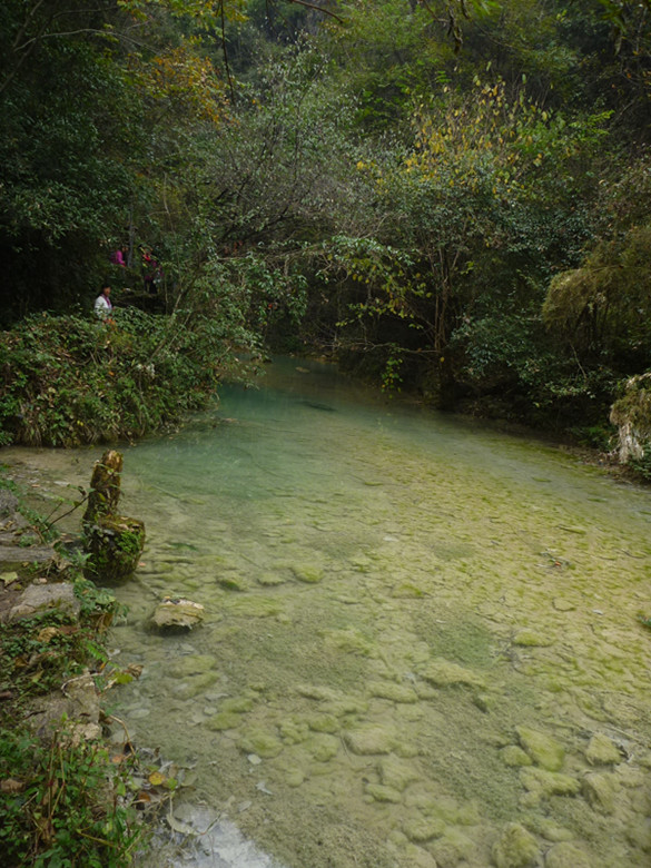 p1080933_.jpg