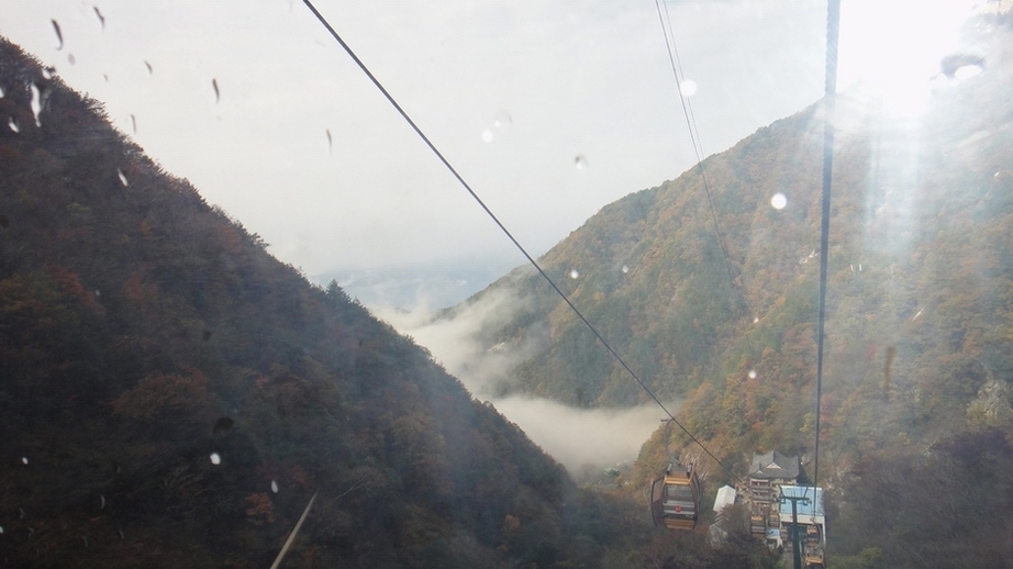 dsc07908.jpg
