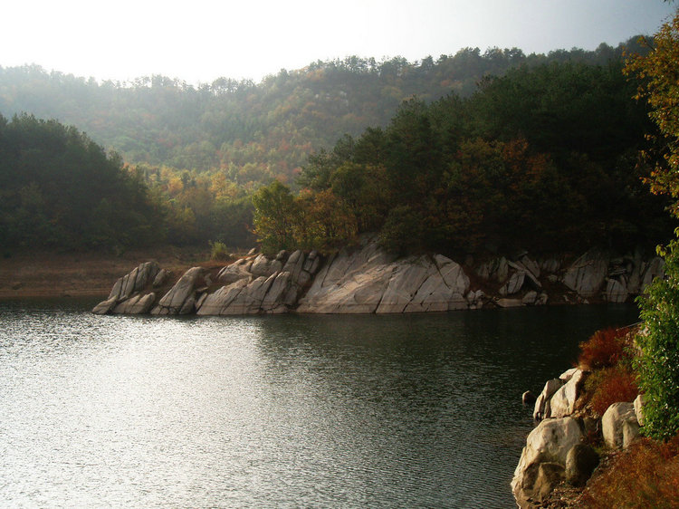 p1019661.jpg