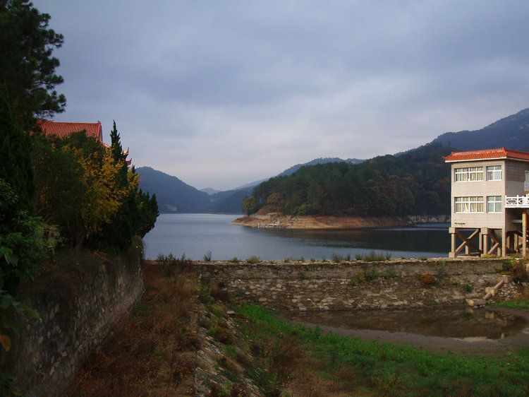 p1019674.jpg