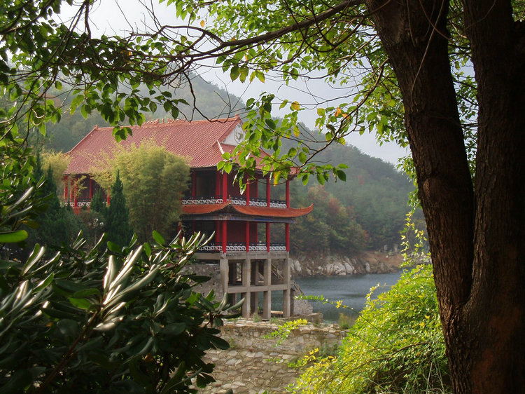 p1019676.jpg