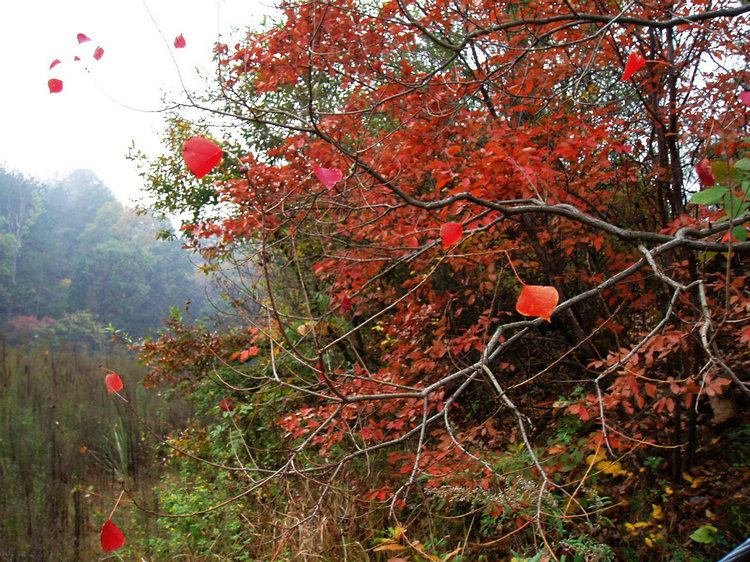p1019546.jpg