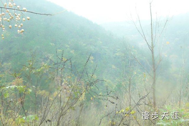 p1000009.jpg