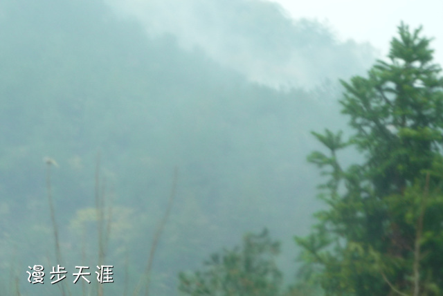 p1000010.jpg