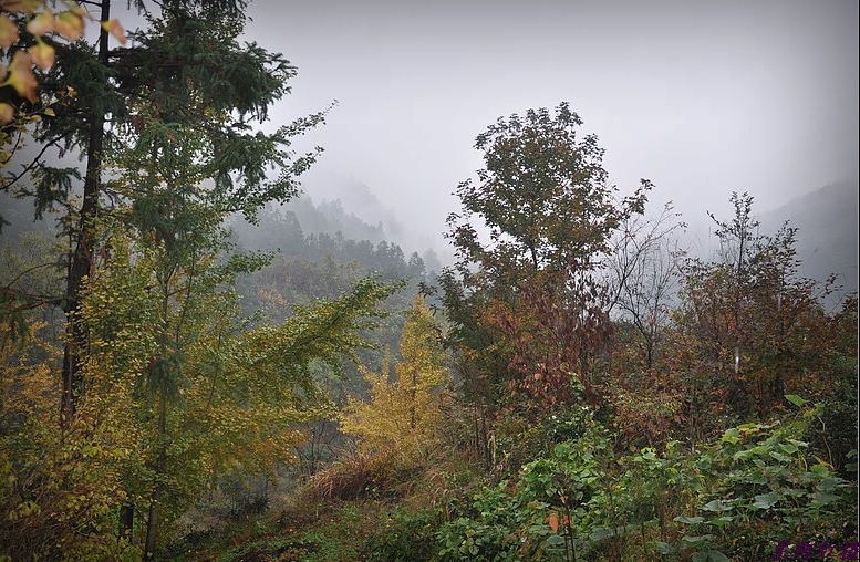 dsc_1557.jpg