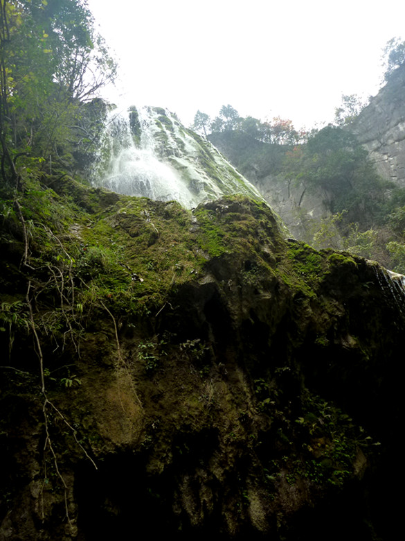 p1080984_.jpg