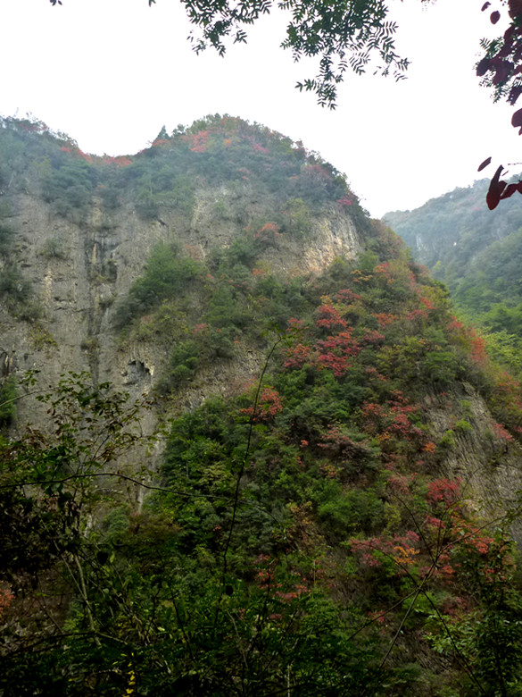 p1080989_.jpg