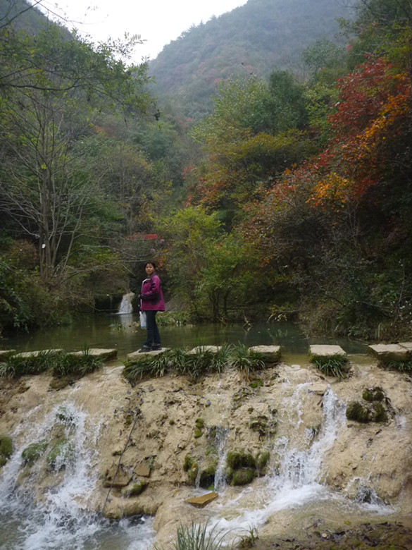 p1080994_.jpg