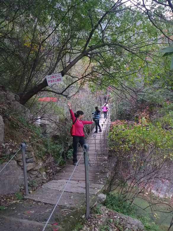 p1080999_.jpg