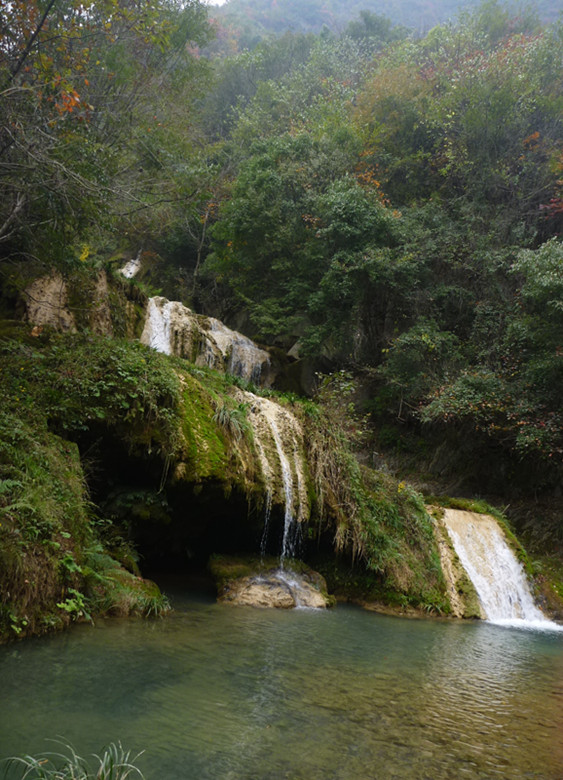 p1090014_.jpg