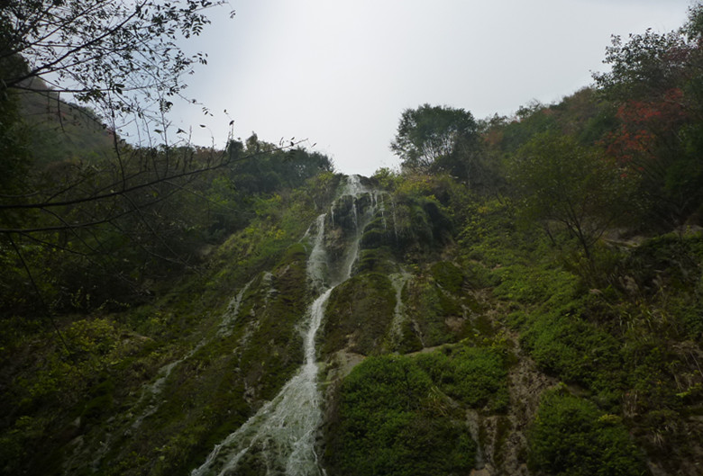 p1090021_.jpg