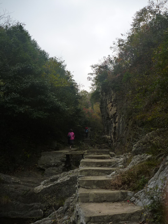 p1090031_.jpg