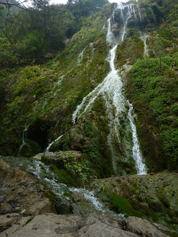 p1090023_.jpg