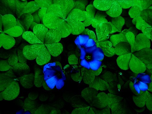 imgp2862+.jpg