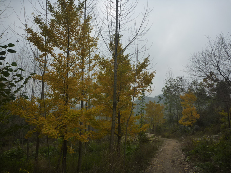 p1090042_.jpg
