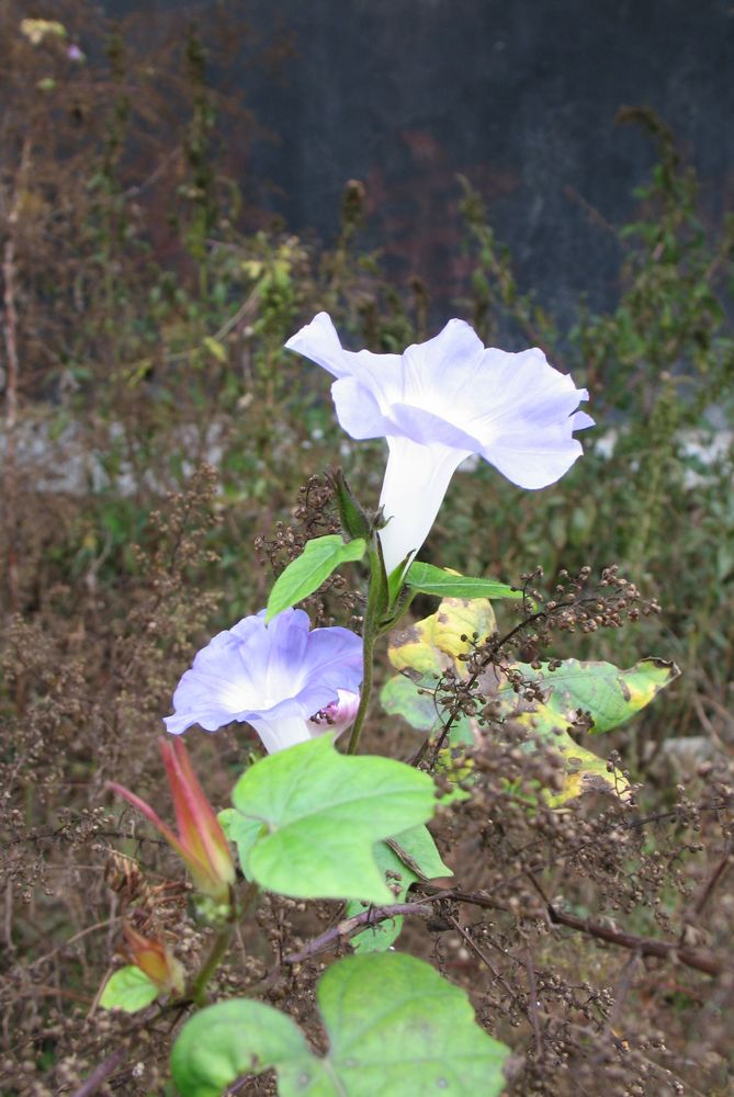 img_04801.jpg